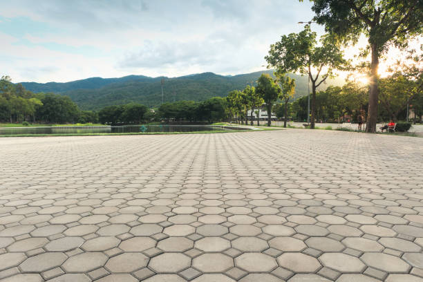 Best Best Driveway Pavers  in Riverside, IA