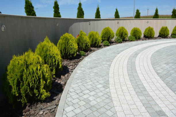 Trusted Riverside, IA Driveway Pavers Experts